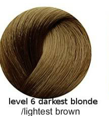 hair-color-level-6